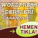wordpress site kur