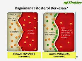 bagaimana fitosterol berfungsi