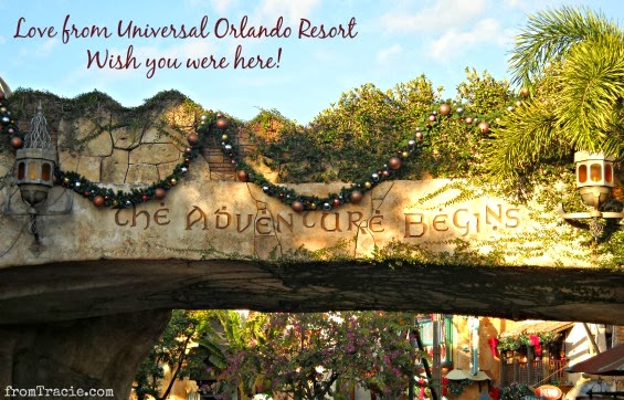 Universal Orlando Resort The Adventure Begins