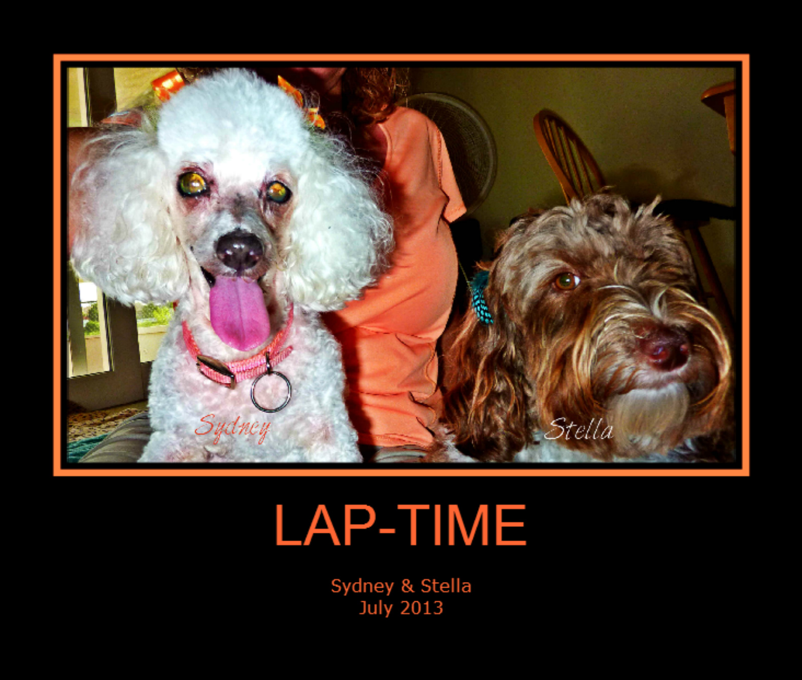 Lori's Pawzitive FX PetSitting/Daycare/Boarding Greater Lakeland