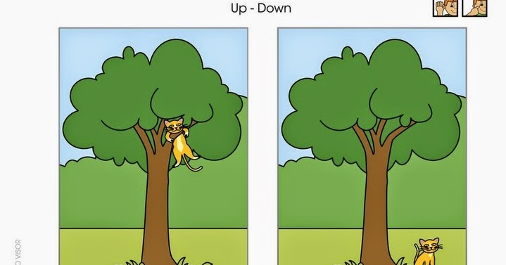 up and down