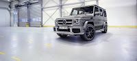2016-Mercedes-G-Class-FL-18.jpg