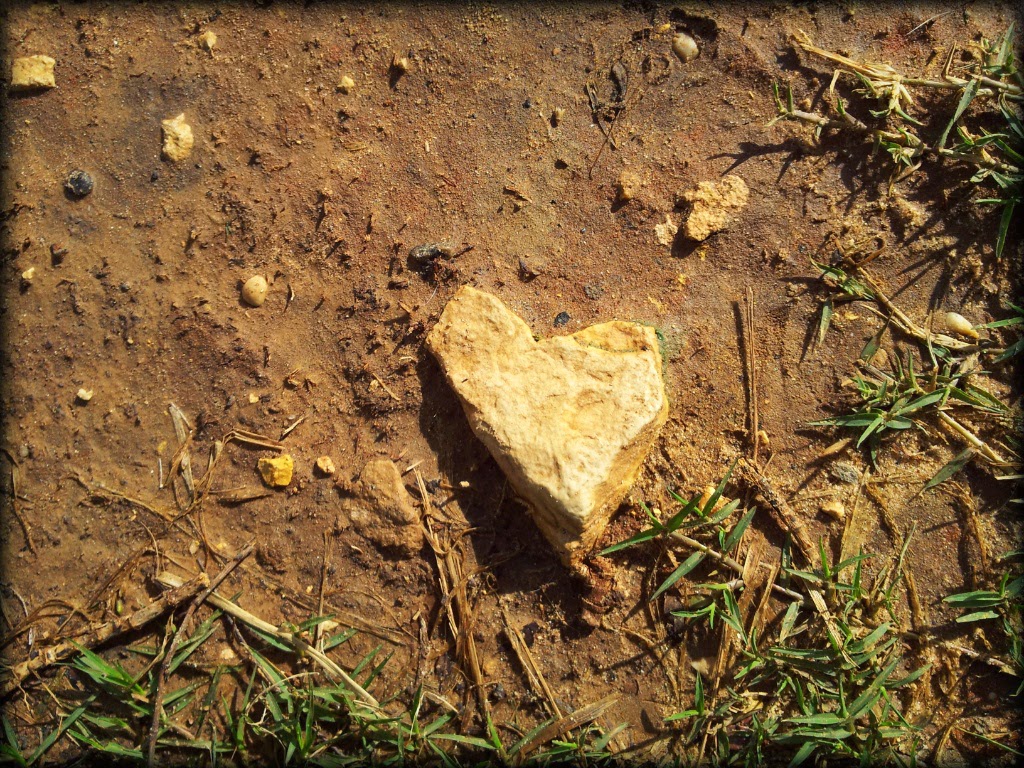 heart shaped rock