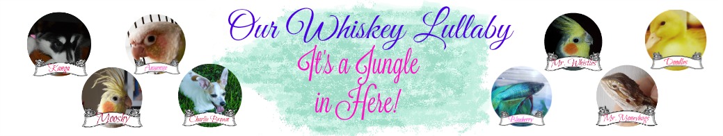 Our Whiskey Lullaby