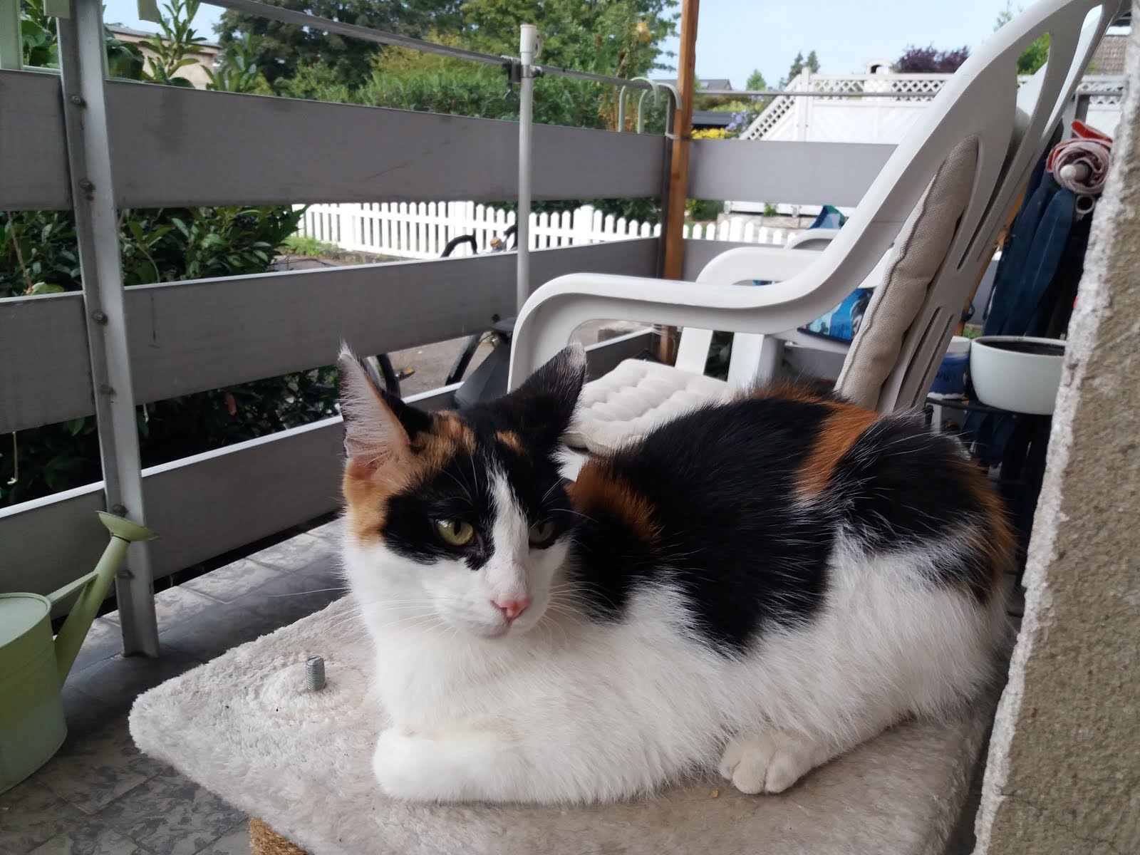 Https Www Niederrhein Nachrichten De Zeitungsarchiv 2019 Wo29 Nno29 Mi Xa Pdf