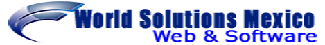 World Solutions Mexico Diseño y Desarrollo Web & Software