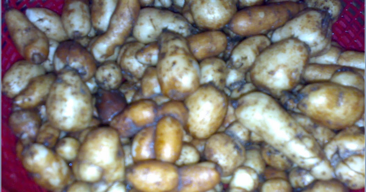 Simple@wonderful: Ubi KeLinG