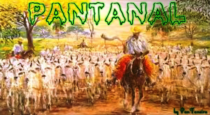 PANTANAL 