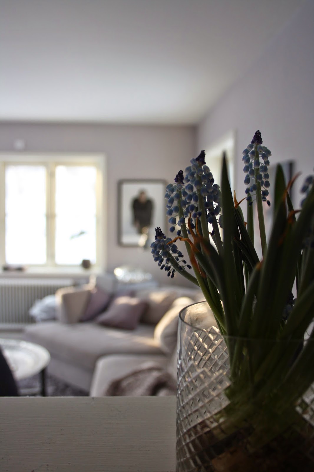 Day and dream: februari 2015