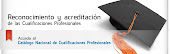 Instituto Andaluz de Cualificaciones  Profesionales