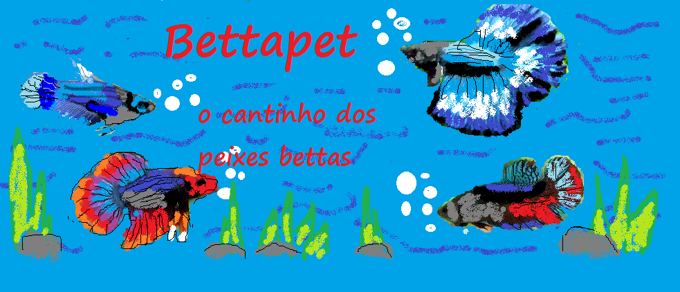 BettaPet 