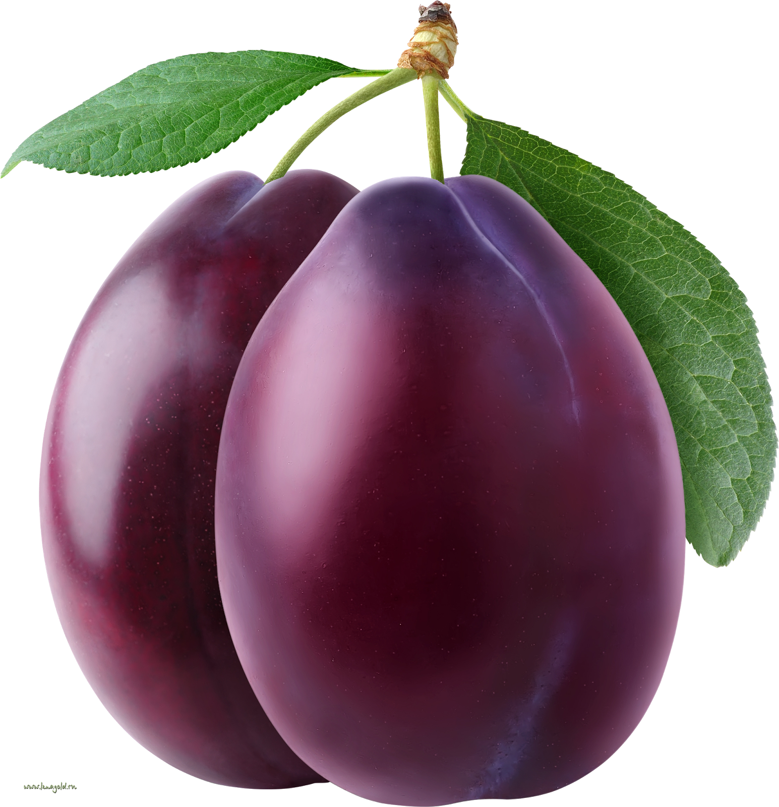 Imagens Limpas Frutas fruit ameixa plum prune pflaume PNG