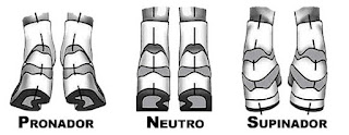 Tobillos: Pronador - Neutro - Supinador