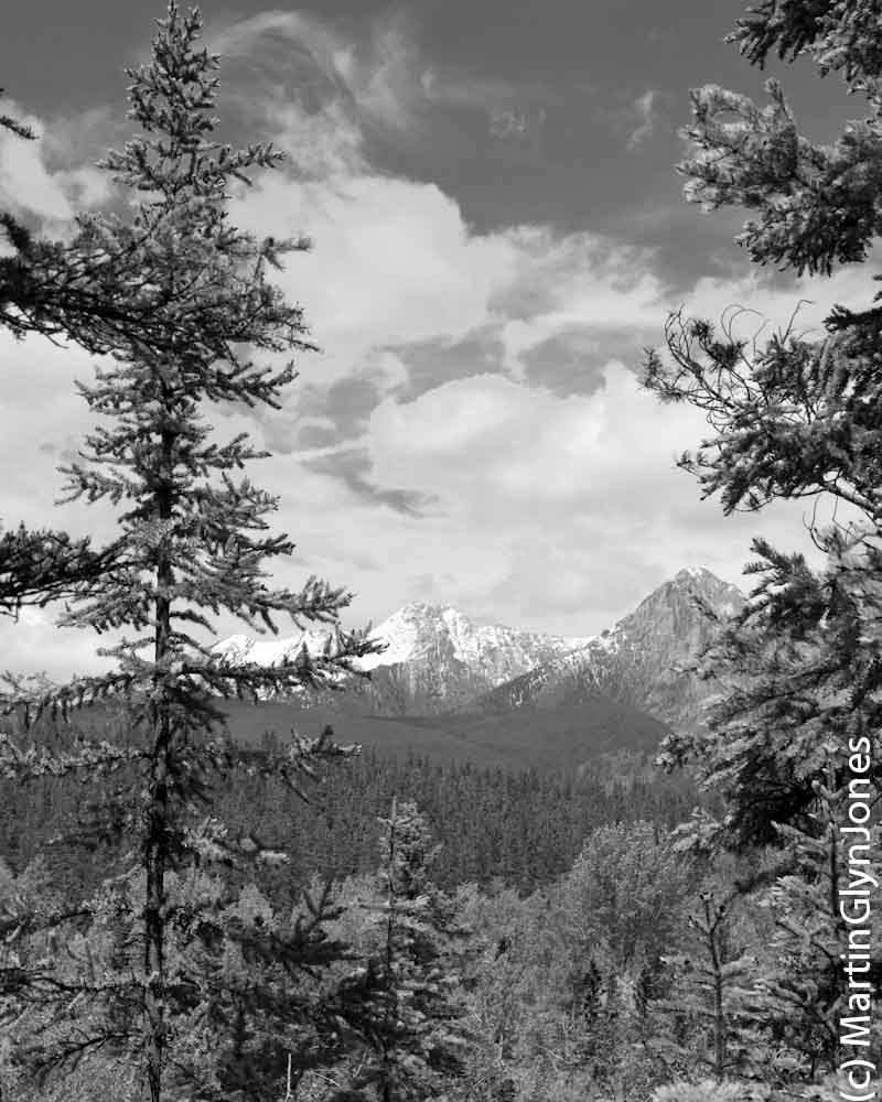 Kananaskis Village Hiking at Ribbon Creek Day use area Marty's Road Trip