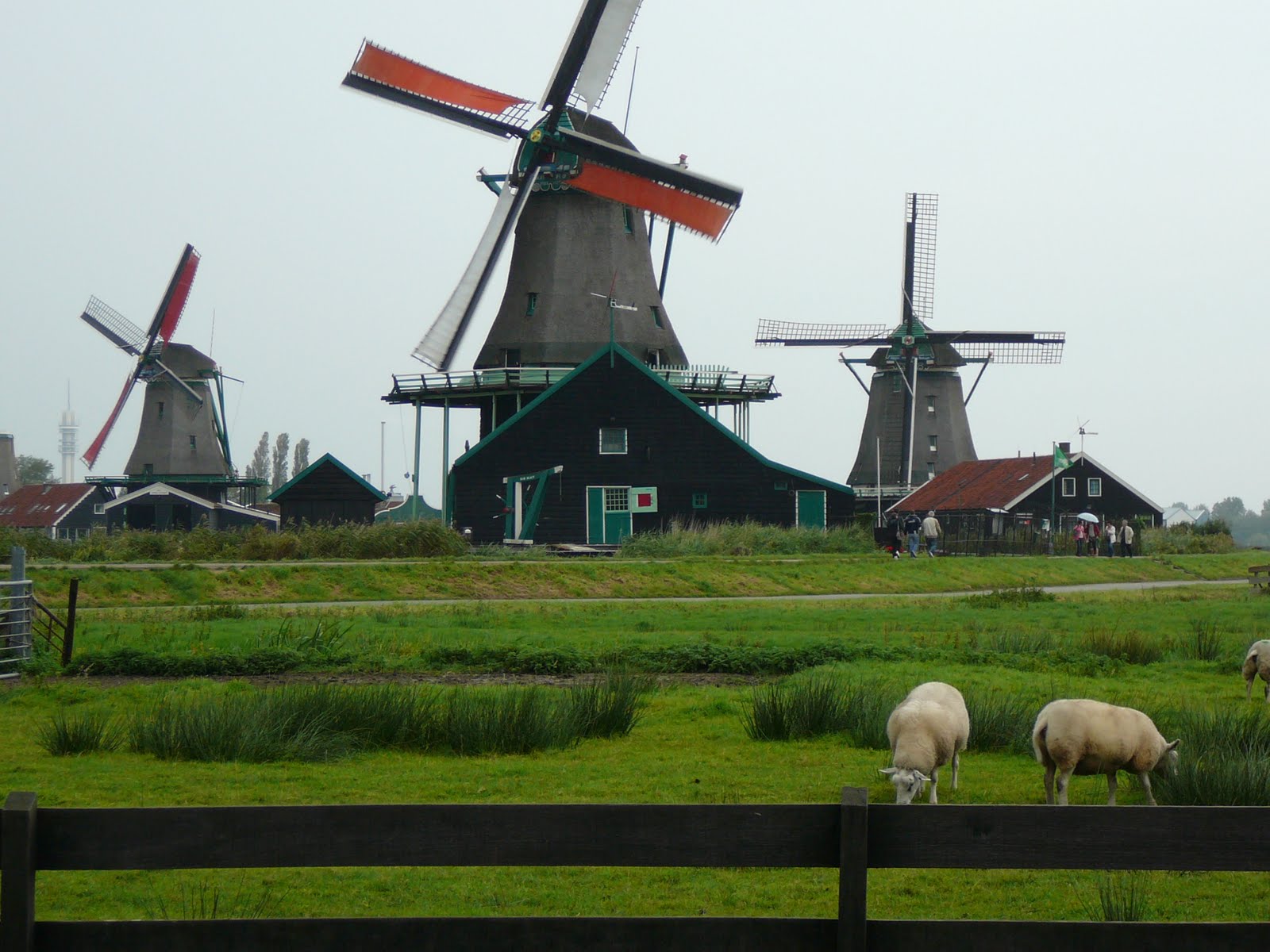 Foto's van Truus: Zaanse Schans - Holland Molen " De Kat