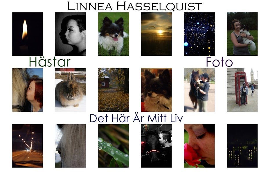 Linnea Hasselquist