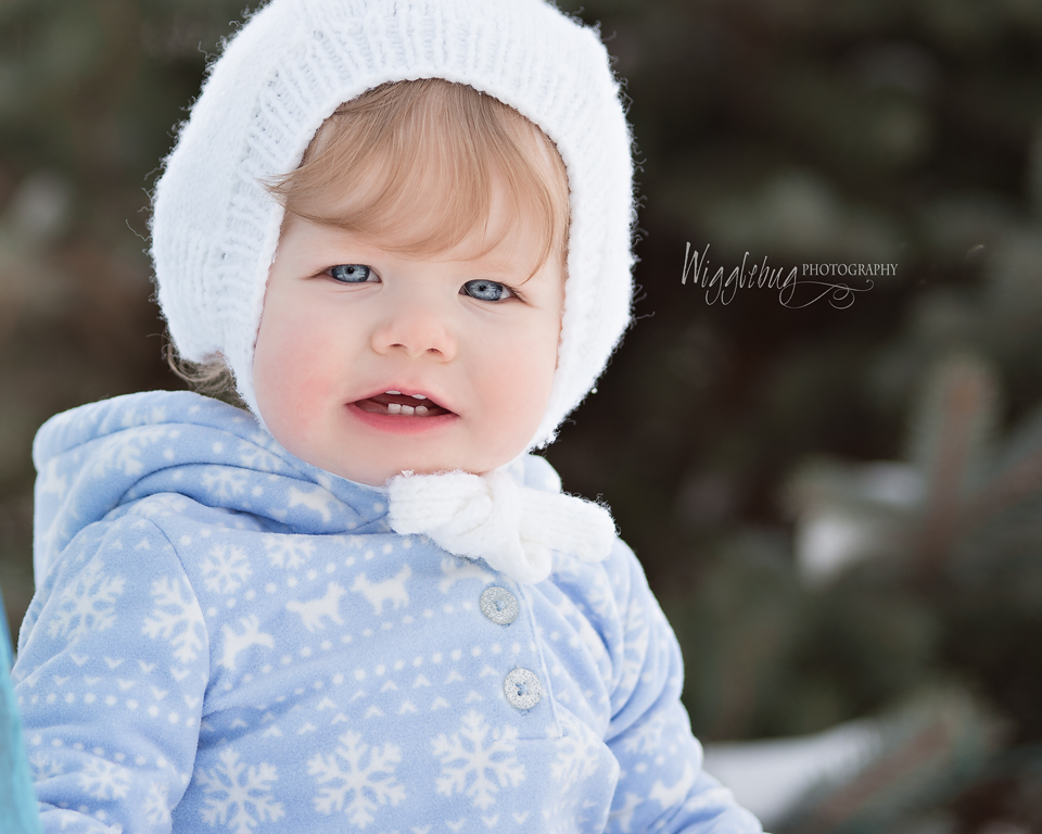 Geneva, IL Newborn and Child photographer: One year milestone session in the snow