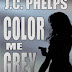 Color Me Grey - Free Kindle Fiction