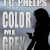 Color Me Grey - Free Kindle Fiction 