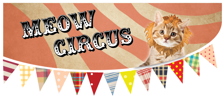 Meow Circus