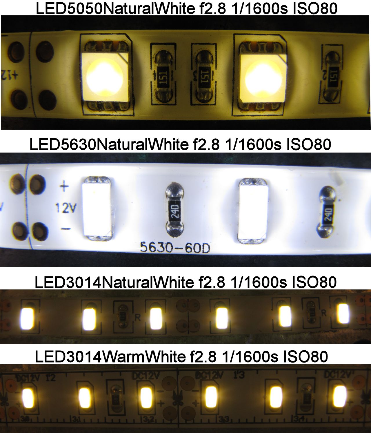 Pietro ippoliti thorndyke : strisce led 3014 vs 5050 vs 5630 Strisce led per illuminare una stanza