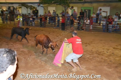 https://picasaweb.google.com/112628067891720623695/PalmelaFestasVindimasLargadaDeToirosReportagemFotografica00h00010913#slideshow/5967290881036638002