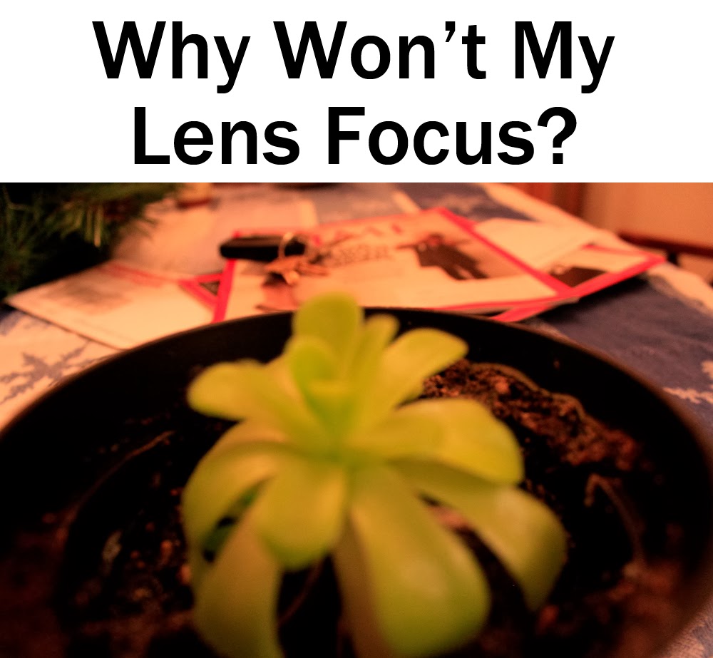 Why Won't My Lens Focus? Boost Your Photography