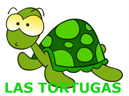 Tortugas