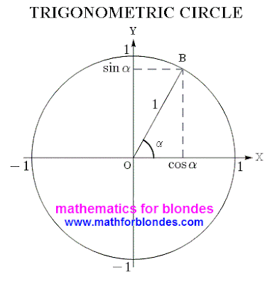 What trigonometric circle.  Mathematics for blondes.