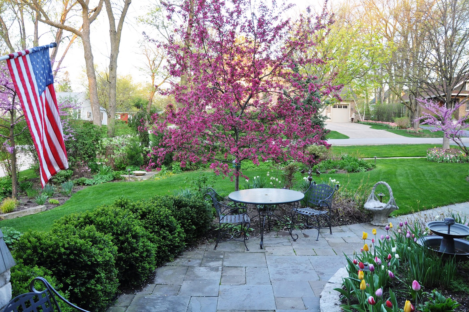 Serendipity Refined Blog: This Week In My Midwest Garden - April 6, 2012