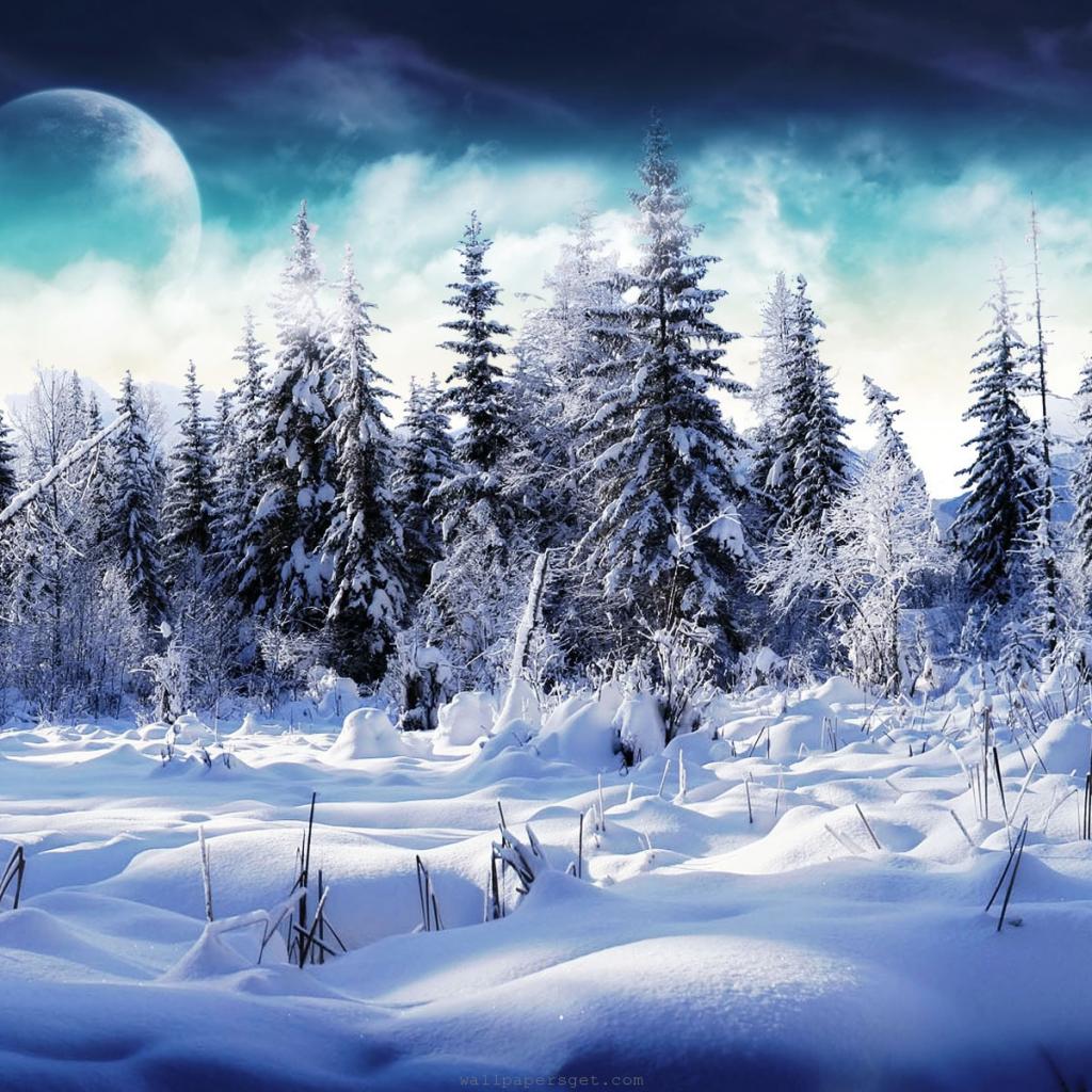 iPad Christmas Wallpaper 1024 X 1024 | Free iPad Retina HD Wallpapers