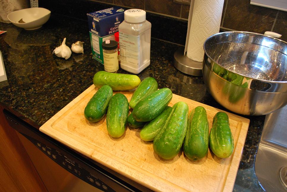 Just the Right Size Pickle Quest 2013 The Dill Pickle