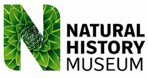 The Natural History Museum