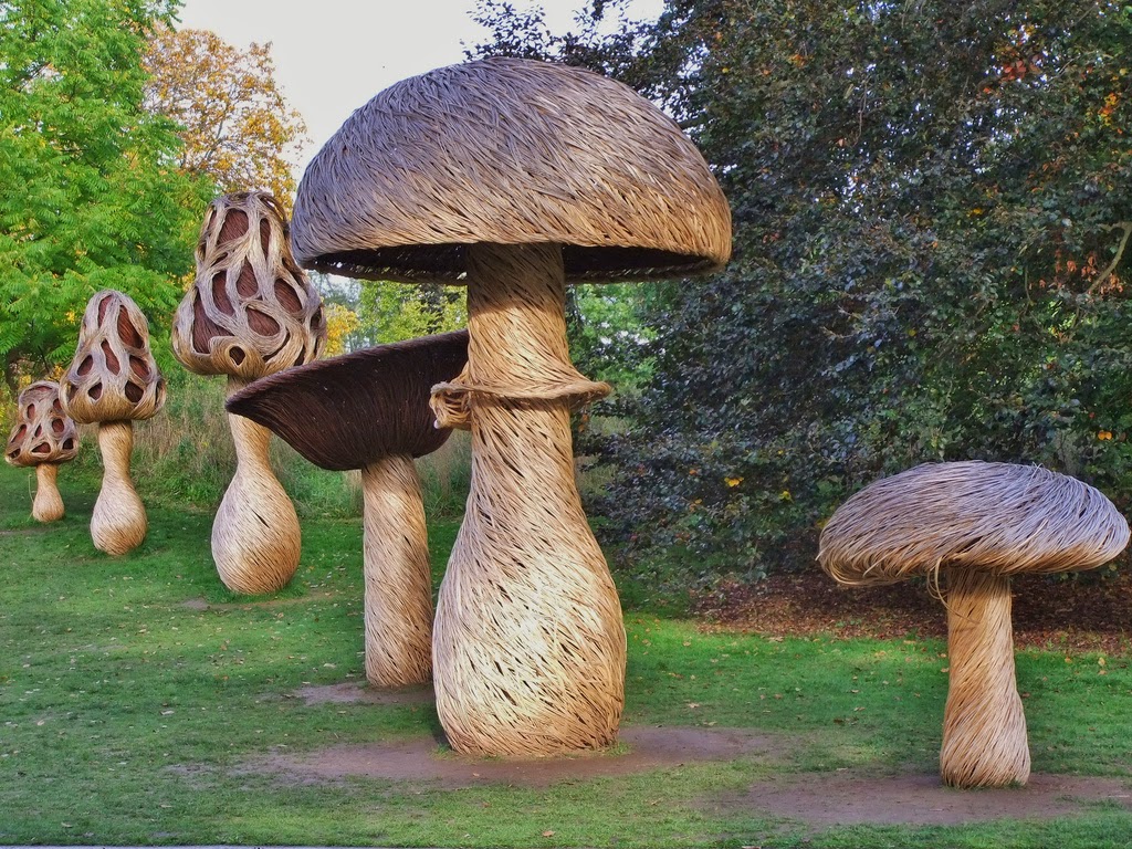 tom hare fungi sculpture fairy ring giant mushroom photography botanical garden kew park (3) tom hare fungi sculpture fairy ring giant mushroom photography botanical garden kew park (3)