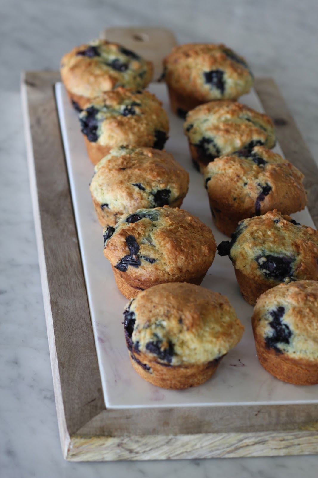 A Bountiful Kitchen Fresh Blueberry and Greek Yogurt Muffins