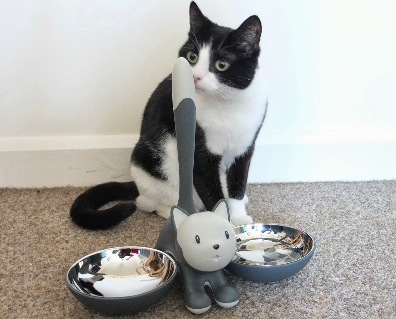 Guest Post Kitty's New Alessi Bowl Hello, Terri Lowe