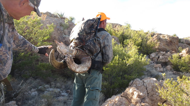 Arizona+Desert+Bighorn+Sheep+Hunting+in+Unit+22+with+Colburn+and+Scott+Outfitters+10.JPG