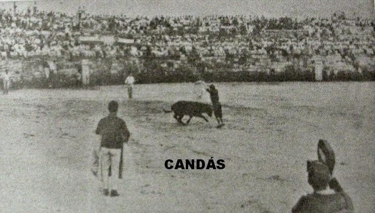 CANDÁS TOROS