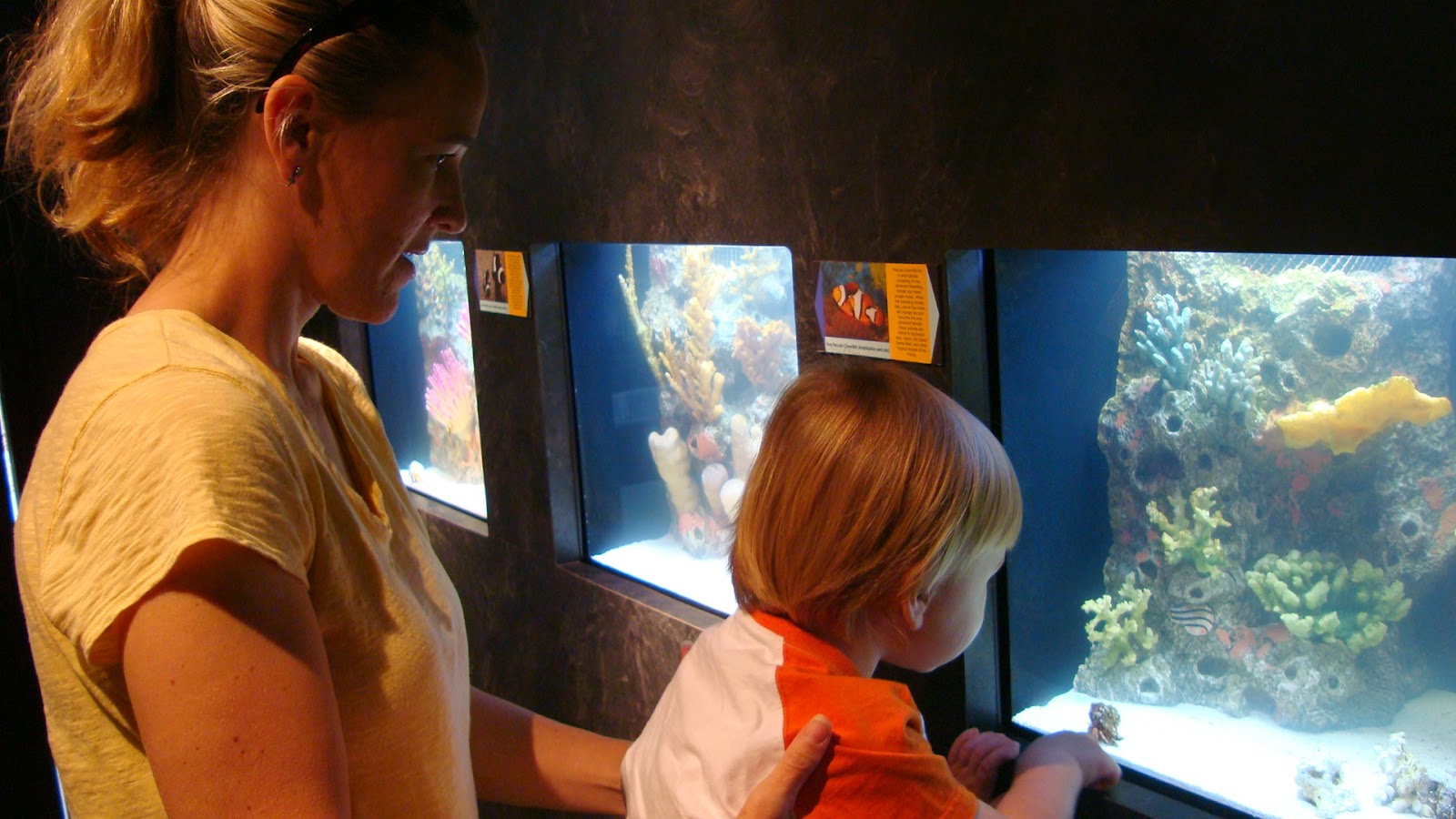 The Jersey Momma A Review of The Turtle Back Zoo Classic New Jersey