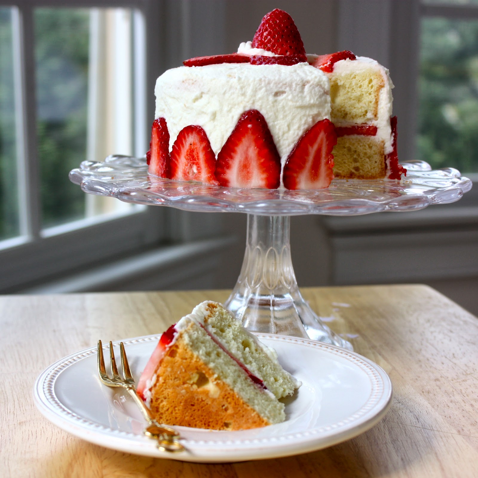 japanese strawberry shortcake Cannella Vita
