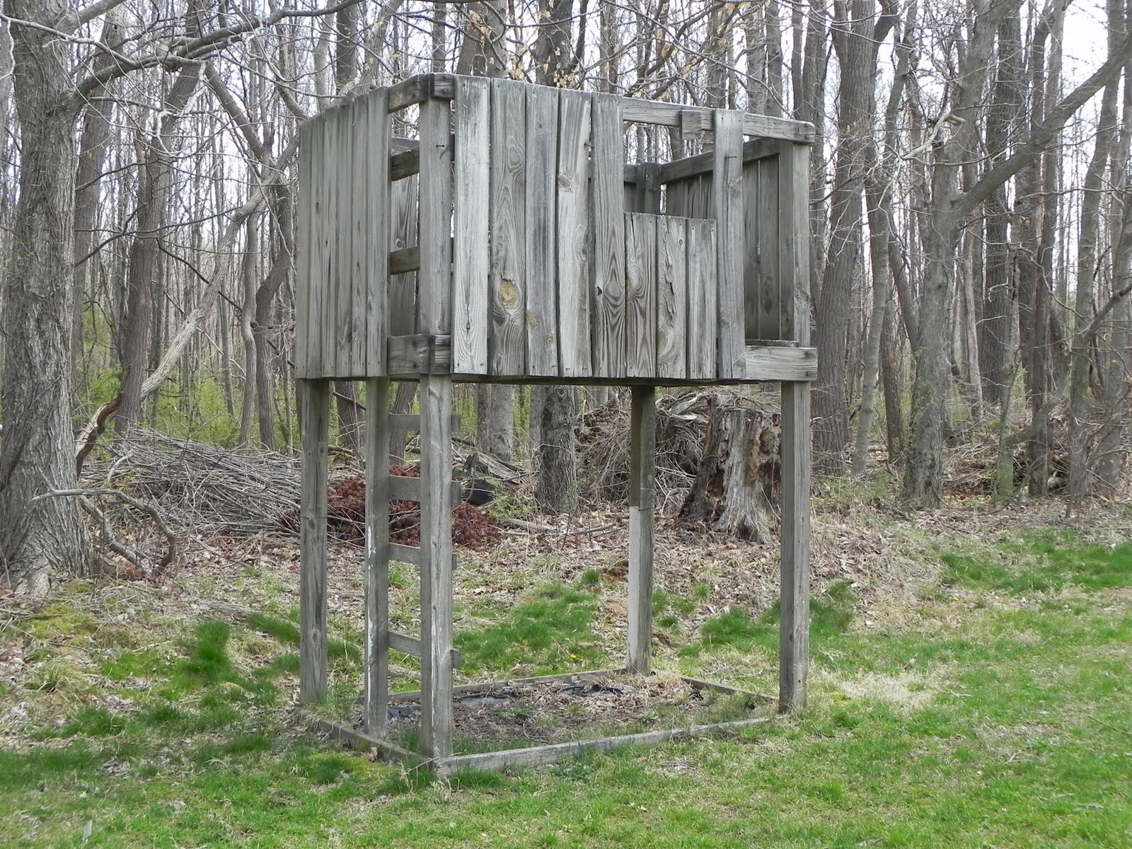 Shady Tree Diary Makeover}