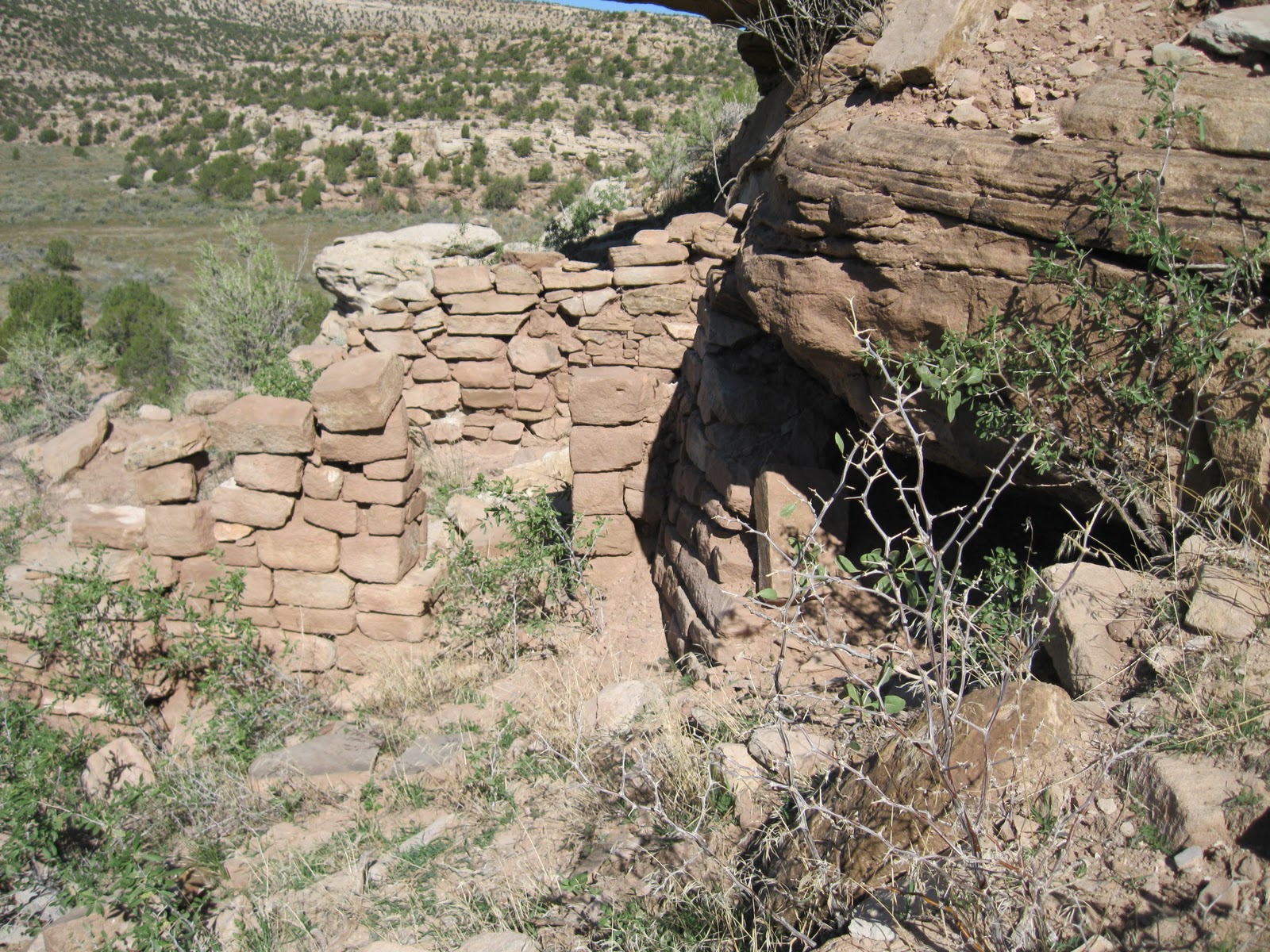 Four Corners HikesCanyons of the Ancients Cross Canyon TrailLower