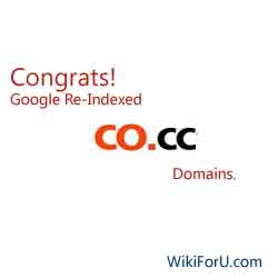 Google Re-Indexed CO.CC
