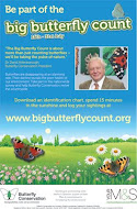 Big Butterfly Count