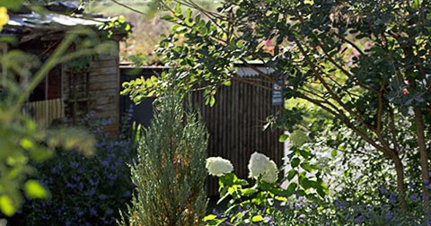 Gartenblog Geniesser-Garten : Gartenbilder August - Sitzplatz