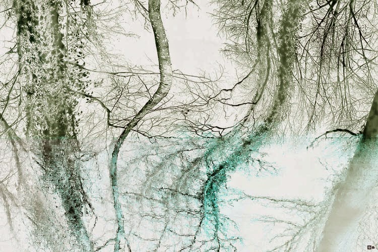 Springhouse Dresden Dresden 2020