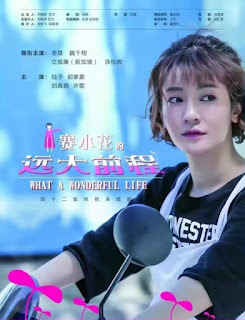 Tiền Đồ Rộng Lớn Của Tái Tiểu Hoa - What A Wonderful Life Tiền Đồ Rộng Lớn Của Tái Tiểu Hoa
