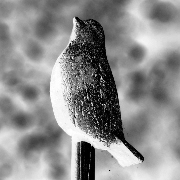 Nunc Hic Page 26 Chan 8720313 Rssing Com