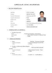 The Cewek Contoh Cv Bahasa Inggris Yang Benar