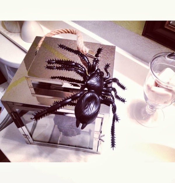 budget halloween decor